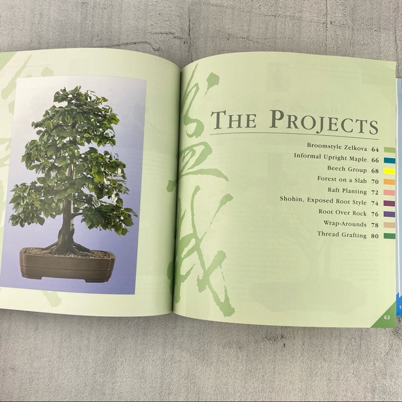 Grow Your Own Bonsai How To Book Step by Step Instructions and Projects - Picture 8 of 9